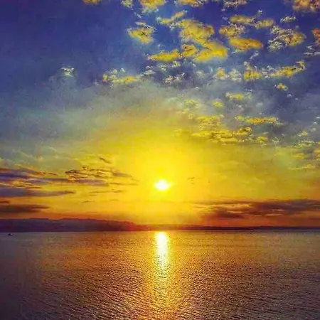 Paradise Бруколи