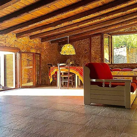 Paradise * Бруколи